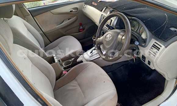 Buy Used Toyota Fielder White Car in Machakos in East Kenya Buy Used Toyota Fielder White Car in Machakos in East Kenya