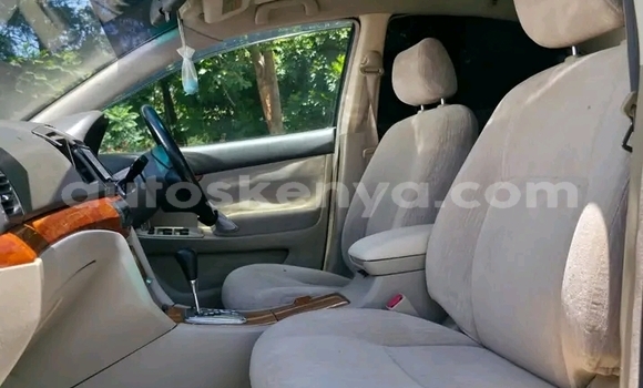 Oofamaa Toyota Axio White Makiinaa iti Bute keessatti Northeast Kenya keessatti Oofamaa Toyota Axio White Makiinaa iti Bute keessatti Northeast Kenya keessatti