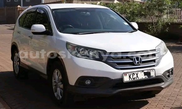 Oofamaa Honda CR–V White Makiinaa iti Kiambu keessatti Central Kenya keessatti Oofamaa Honda CR–V White Makiinaa iti Kiambu keessatti Central Kenya keessatti