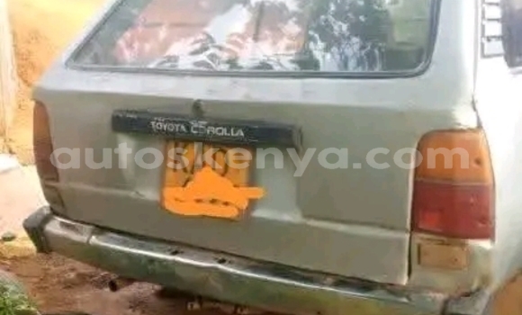 Oofamaa Toyota Corolla Other Makiinaa iti Changamwe keessatti Coast keessatti Oofamaa Toyota Corolla Other Makiinaa iti Changamwe keessatti Coast keessatti