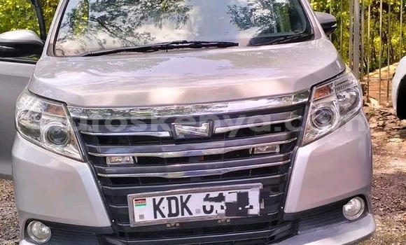 Oofamaa Toyota Noah Other Makiinaa iti Bute keessatti Northeast Kenya keessatti Oofamaa Toyota Noah Other Makiinaa iti Bute keessatti Northeast Kenya keessatti