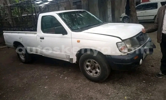 Oofamaa Nissan Hardbody Other Makiinaa iti Bute keessatti Northeast Kenya keessatti Oofamaa Nissan Hardbody Other Makiinaa iti Bute keessatti Northeast Kenya keessatti