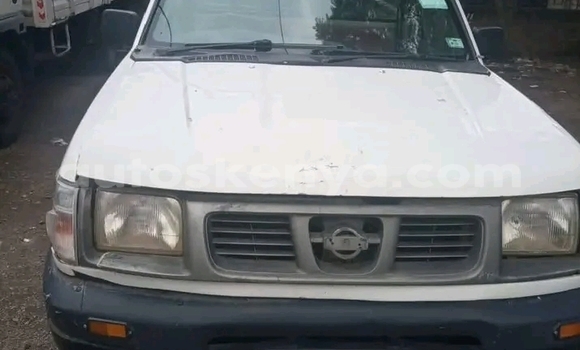 Oofamaa Nissan Hardbody Other Makiinaa iti Bute keessatti Northeast Kenya keessatti Oofamaa Nissan Hardbody Other Makiinaa iti Bute keessatti Northeast Kenya keessatti