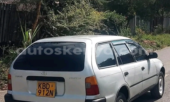 Oofamaa Toyota Dyna White Makiinaa iti Bute keessatti Northeast Kenya keessatti Oofamaa Toyota Dyna White Makiinaa iti Bute keessatti Northeast Kenya keessatti