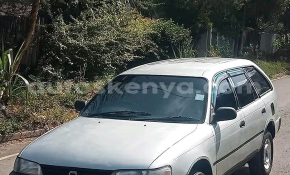 Oofamaa Toyota Dyna White Makiinaa iti Bute keessatti Northeast Kenya keessatti Oofamaa Toyota Dyna White Makiinaa iti Bute keessatti Northeast Kenya keessatti