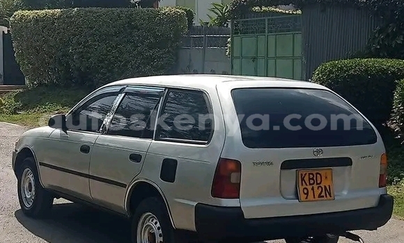 Oofamaa Toyota Dyna White Makiinaa iti Bute keessatti Northeast Kenya keessatti Oofamaa Toyota Dyna White Makiinaa iti Bute keessatti Northeast Kenya keessatti