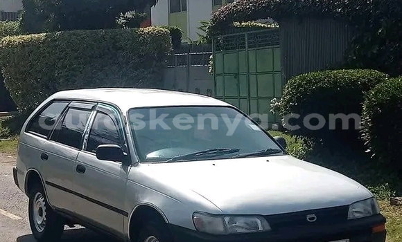 Oofamaa Toyota Dyna White Makiinaa iti Bute keessatti Northeast Kenya keessatti Oofamaa Toyota Dyna White Makiinaa iti Bute keessatti Northeast Kenya keessatti