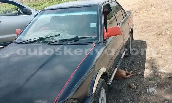 Oofamaa Toyota AE91 Black Makiinaa iti Bute keessatti Northeast Kenya keessatti Oofamaa Toyota AE91 Black Makiinaa iti Bute keessatti Northeast Kenya keessatti
