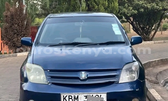 Oofamaa Toyota IST Black Makiinaa iti Bute keessatti Northeast Kenya keessatti Oofamaa Toyota IST Black Makiinaa iti Bute keessatti Northeast Kenya keessatti