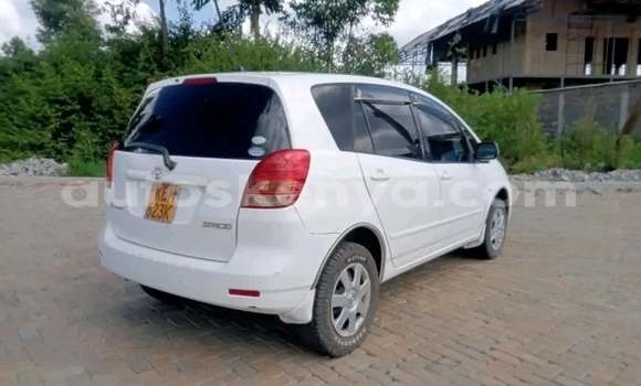 Oofamaa Toyota Spacio White Makiinaa iti Bute keessatti Northeast Kenya keessatti Oofamaa Toyota Spacio White Makiinaa iti Bute keessatti Northeast Kenya keessatti