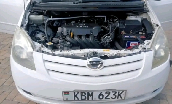 Oofamaa Toyota Spacio White Makiinaa iti Bute keessatti Northeast Kenya keessatti Oofamaa Toyota Spacio White Makiinaa iti Bute keessatti Northeast Kenya keessatti