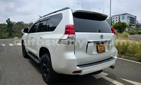 Buy Used Toyota Prado White Car in Bute in Northeast Kenya Buy Used Toyota Prado White Car in Bute in Northeast Kenya