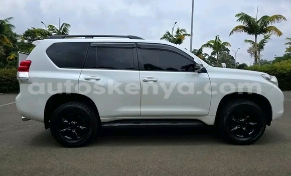 Oofamaa Toyota Prado White Makiinaa iti Bute keessatti Northeast Kenya keessatti Oofamaa Toyota Prado White Makiinaa iti Bute keessatti Northeast Kenya keessatti