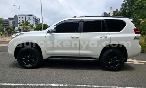 Oofamaa Toyota Prado White Makiinaa iti Bute keessatti Northeast Kenya keessatti Oofamaa Toyota Prado White Makiinaa iti Bute keessatti Northeast Kenya keessatti