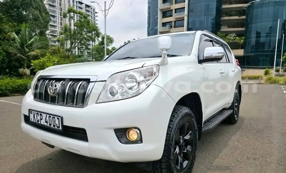 Oofamaa Toyota Prado White Makiinaa iti Bute keessatti Northeast Kenya keessatti Oofamaa Toyota Prado White Makiinaa iti Bute keessatti Northeast Kenya keessatti