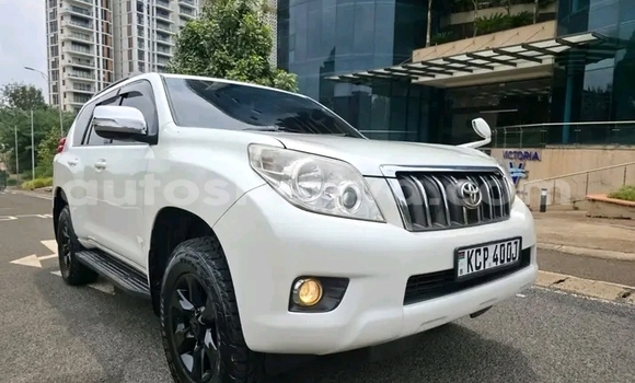 Oofamaa Toyota Prado White Makiinaa iti Bute keessatti Northeast Kenya keessatti Oofamaa Toyota Prado White Makiinaa iti Bute keessatti Northeast Kenya keessatti