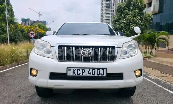 Oofamaa Toyota Prado White Makiinaa iti Bute keessatti Northeast Kenya keessatti Oofamaa Toyota Prado White Makiinaa iti Bute keessatti Northeast Kenya keessatti