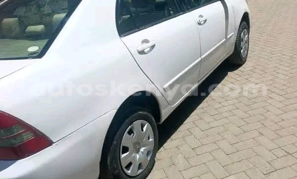 Oofamaa Toyota Nadia White Makiinaa iti Bute keessatti Northeast Kenya keessatti