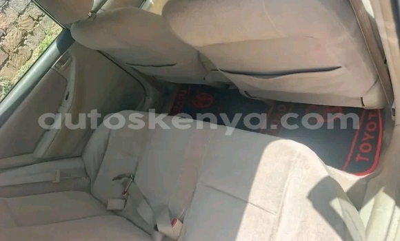 Oofamaa Toyota Nadia White Makiinaa iti Bute keessatti Northeast Kenya keessatti Oofamaa Toyota Nadia White Makiinaa iti Bute keessatti Northeast Kenya keessatti