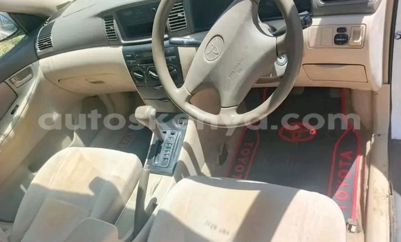 Oofamaa Toyota Nadia White Makiinaa iti Bute keessatti Northeast Kenya keessatti Oofamaa Toyota Nadia White Makiinaa iti Bute keessatti Northeast Kenya keessatti