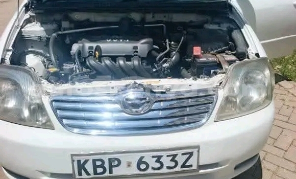 Oofamaa Toyota Nadia White Makiinaa iti Bute keessatti Northeast Kenya keessatti Oofamaa Toyota Nadia White Makiinaa iti Bute keessatti Northeast Kenya keessatti