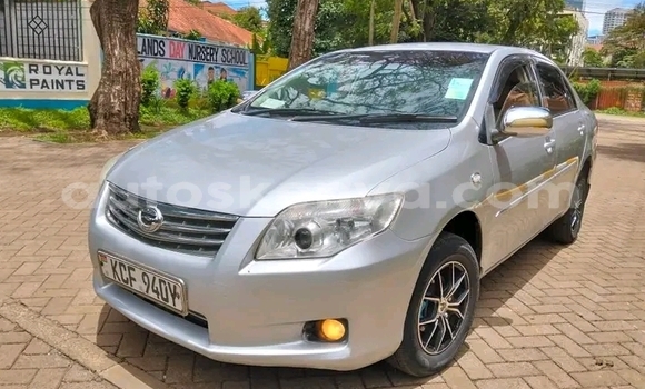Oofamaa Toyota Axio Other Makiinaa iti Bute keessatti Northeast Kenya keessatti Oofamaa Toyota Axio Other Makiinaa iti Bute keessatti Northeast Kenya keessatti