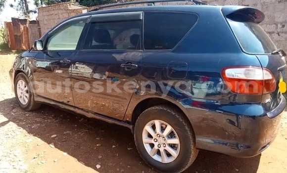 Oofamaa Toyota Ipsum Other Makiinaa iti Changamwe keessatti Coast keessatti Oofamaa Toyota Ipsum Other Makiinaa iti Changamwe keessatti Coast keessatti