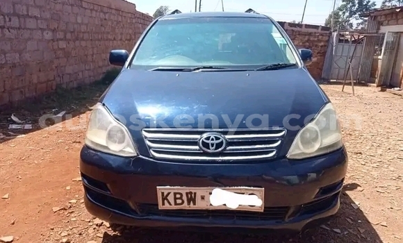 Oofamaa Toyota Ipsum Other Makiinaa iti Changamwe keessatti Coast keessatti Oofamaa Toyota Ipsum Other Makiinaa iti Changamwe keessatti Coast keessatti