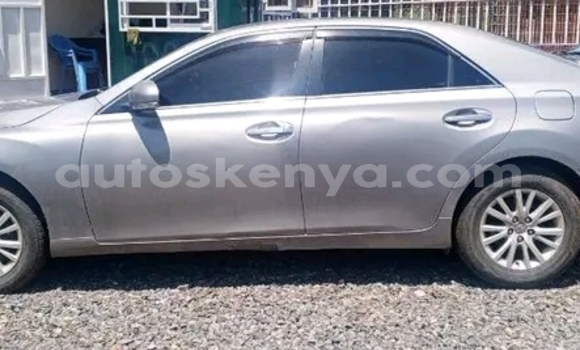 Oofamaa Toyota Mark X Other Makiinaa iti Bute keessatti Northeast Kenya keessatti