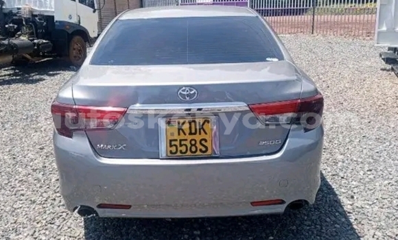 Oofamaa Toyota Mark X Other Makiinaa iti Bute keessatti Northeast Kenya keessatti Oofamaa Toyota Mark X Other Makiinaa iti Bute keessatti Northeast Kenya keessatti