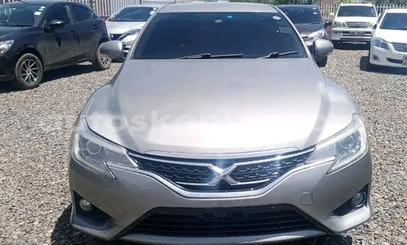 Oofamaa Toyota Mark X Other Makiinaa iti Bute keessatti Northeast Kenya keessatti Oofamaa Toyota Mark X Other Makiinaa iti Bute keessatti Northeast Kenya keessatti