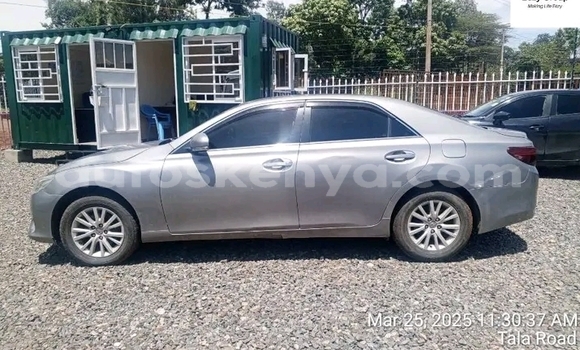 Nunua Ilio tumika Toyota Mark X Nyingine Gari ndani ya Bute nchini Kaskazini Mashariki mwa Kenya