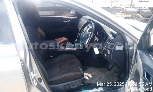 Oofamaa Toyota Mark X Other Makiinaa iti Bute keessatti Northeast Kenya keessatti Oofamaa Toyota Mark X Other Makiinaa iti Bute keessatti Northeast Kenya keessatti