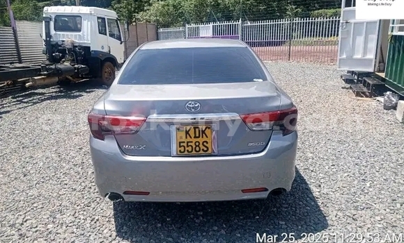 Oofamaa Toyota Mark X Other Makiinaa iti Bute keessatti Northeast Kenya keessatti Oofamaa Toyota Mark X Other Makiinaa iti Bute keessatti Northeast Kenya keessatti