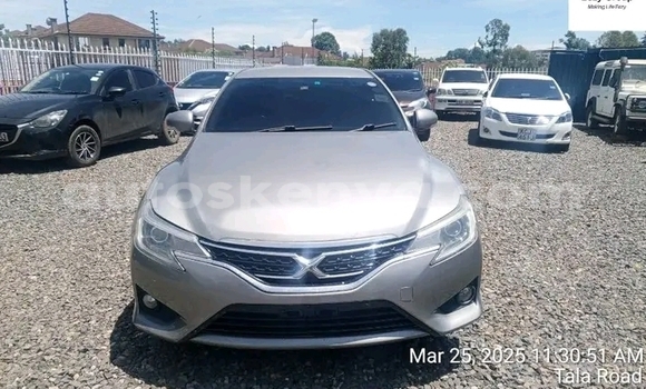 Oofamaa Toyota Mark X Other Makiinaa iti Bute keessatti Northeast Kenya keessatti Oofamaa Toyota Mark X Other Makiinaa iti Bute keessatti Northeast Kenya keessatti