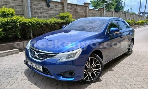 Oofamaa Toyota Mark X Blue Makiinaa iti Bute keessatti Northeast Kenya keessatti Oofamaa Toyota Mark X Blue Makiinaa iti Bute keessatti Northeast Kenya keessatti