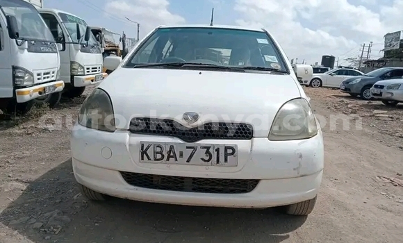 Oofamaa Toyota Vitz White Makiinaa iti Bute keessatti Northeast Kenya keessatti Oofamaa Toyota Vitz White Makiinaa iti Bute keessatti Northeast Kenya keessatti