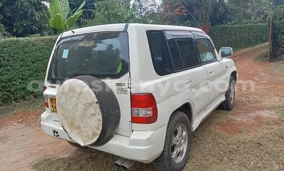 Oofamaa Mitsubishi Pajero iO Other Makiinaa iti Bute keessatti Northeast Kenya keessatti Oofamaa Mitsubishi Pajero iO Other Makiinaa iti Bute keessatti Northeast Kenya keessatti