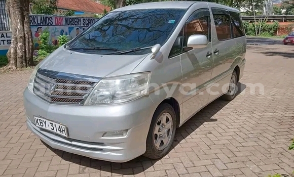 Oofamaa Toyota Alphard Other Makiinaa iti Bute keessatti Northeast Kenya keessatti Oofamaa Toyota Alphard Other Makiinaa iti Bute keessatti Northeast Kenya keessatti