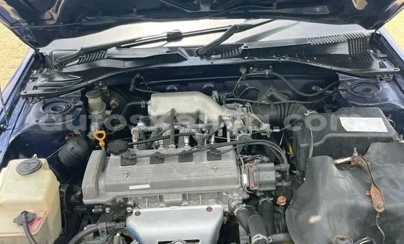 Oofamaa Toyota Carina Other Makiinaa iti Bute keessatti Northeast Kenya keessatti Oofamaa Toyota Carina Other Makiinaa iti Bute keessatti Northeast Kenya keessatti