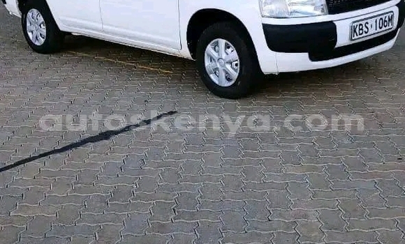 Oofamaa Toyota Probox White Makiinaa iti Bute keessatti Northeast Kenya keessatti Oofamaa Toyota Probox White Makiinaa iti Bute keessatti Northeast Kenya keessatti