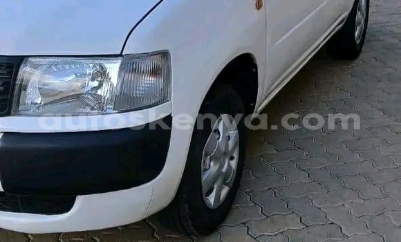 Oofamaa Toyota Probox White Makiinaa iti Bute keessatti Northeast Kenya keessatti Oofamaa Toyota Probox White Makiinaa iti Bute keessatti Northeast Kenya keessatti