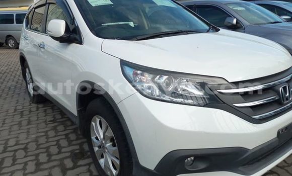 Nunua Ilio tumika Honda CR–V Nyeupe Gari ndani ya Mombasa nchini Kenya ya Pwani Nunua Ilio tumika Honda CR–V Nyeupe Gari ndani ya Mombasa nchini Kenya ya Pwani