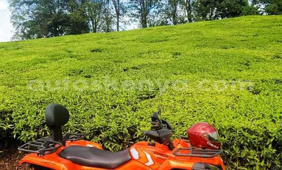 Oofamaa Cfmoto CFORCE Other Doqdoqqee iti Athi River keessatti Nairobi keessatti Oofamaa Cfmoto CFORCE Other Doqdoqqee iti Athi River keessatti Nairobi keessatti