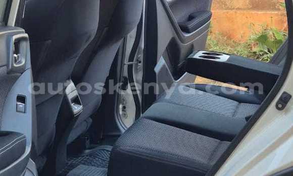 Nunua Ilio tumika Subaru Forester Nyeupe Gari ndani ya Nairobi nchini Nairobi Nunua Ilio tumika Subaru Forester Nyeupe Gari ndani ya Nairobi nchini Nairobi