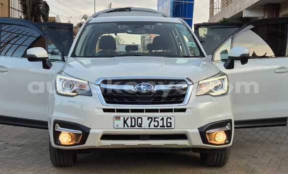 Nunua Ilio tumika Subaru Forester Nyeupe Gari ndani ya Nairobi nchini Nairobi Nunua Ilio tumika Subaru Forester Nyeupe Gari ndani ya Nairobi nchini Nairobi