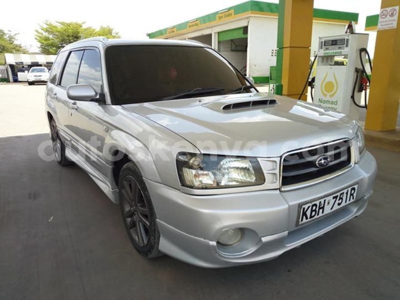 Big with watermark 56828097 2356303397981796 4754299707411398656 n