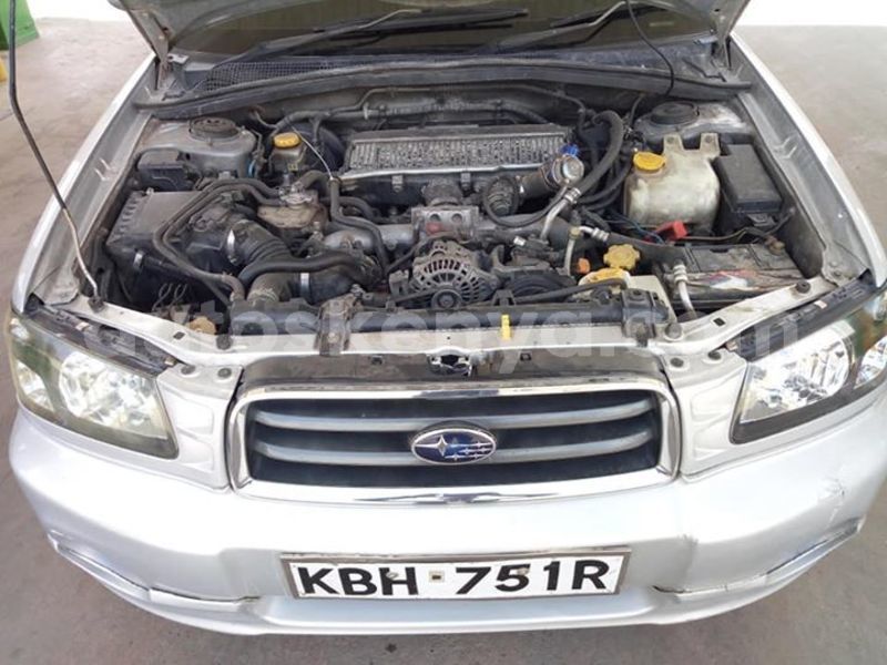 Big with watermark 56659765 2356303514648451 8648553409462403072 n