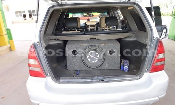 Nunua Ilio tumika Subaru Forester Fedha Gari ndani ya Nairobi nchini Nairobi Nunua Ilio tumika Subaru Forester Fedha Gari ndani ya Nairobi nchini Nairobi