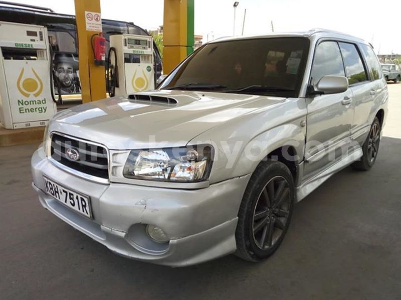 Big with watermark 56502775 2356303381315131 2217650073448218624 n